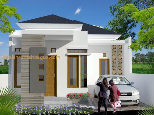 Desain Rumah 1 Lantai dengan Cat Abu 2