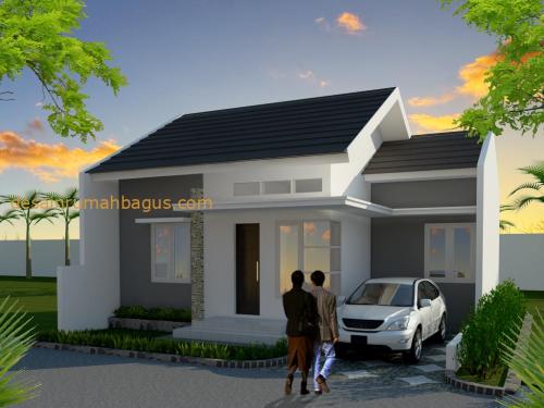 Desain Rumah 1 Lantai dengan Cat Abu 3