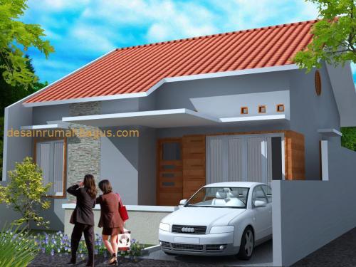 Desain Rumah 1 Lantai dengan Cat Abu 7